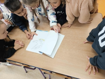 8f8e237d-6a8a-4f2c-b4c9-1760d112205d.jfif