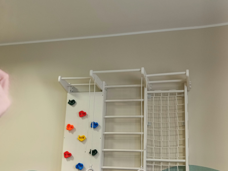 Integracja sensoryczna